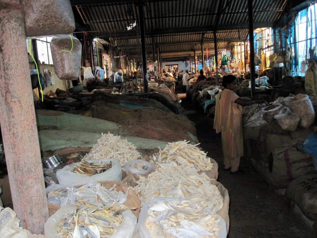 Mangalore Mangalore Mangalore Dry Fish Market